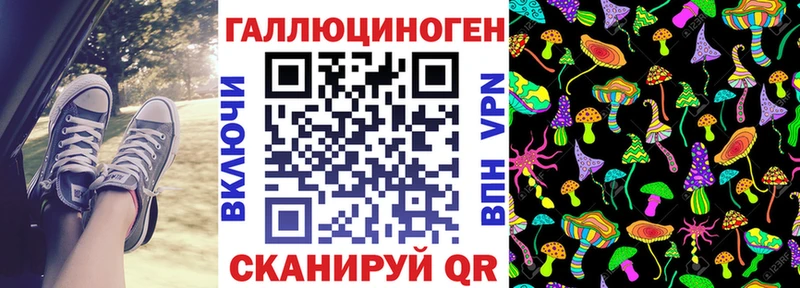 Псилоцибиновые грибы Psilocybine cubensis  Малаховка 